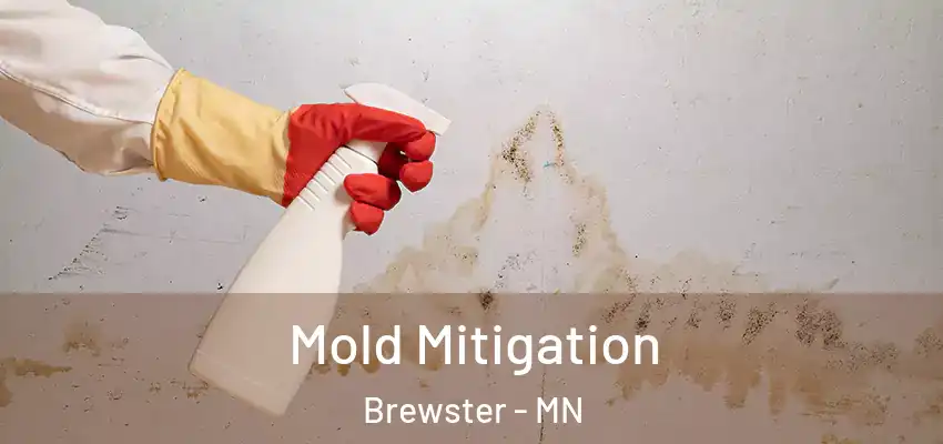Mold Mitigation Brewster - MN