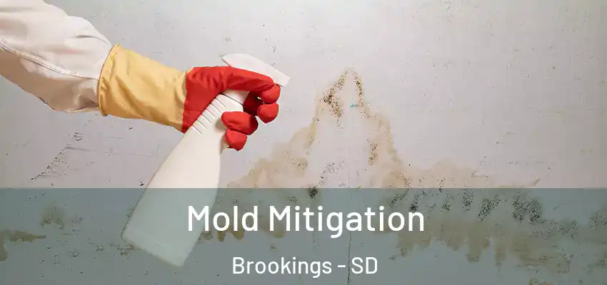  Mold Mitigation Brookings - SD