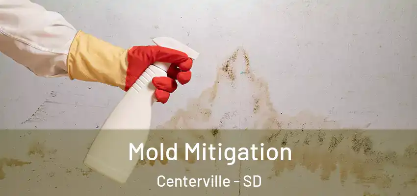  Mold Mitigation Centerville - SD