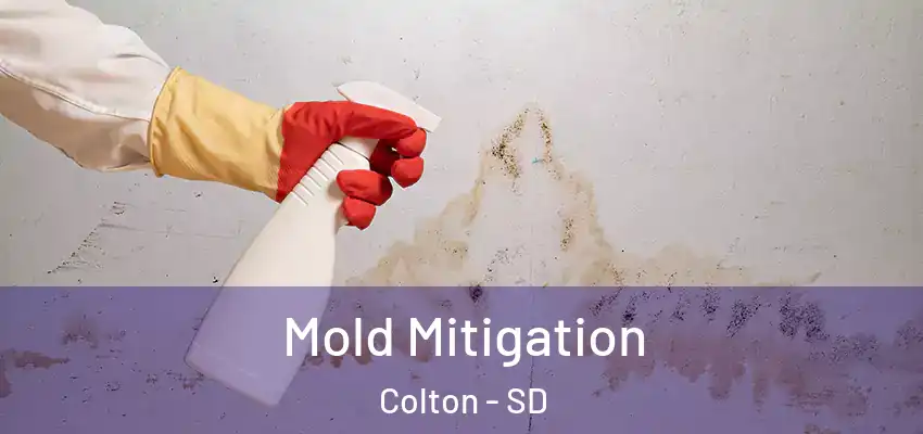  Mold Mitigation Colton - SD