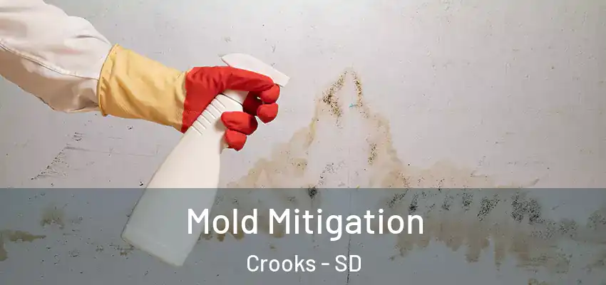  Mold Mitigation Crooks - SD