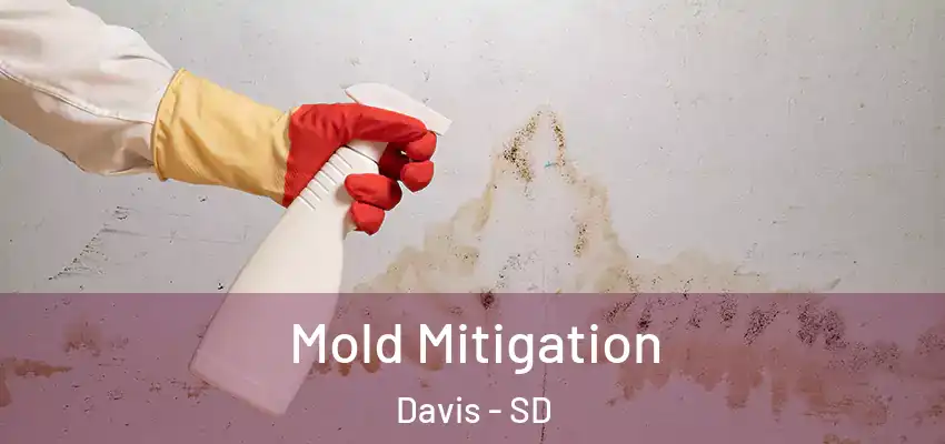 Mold Mitigation Davis - SD