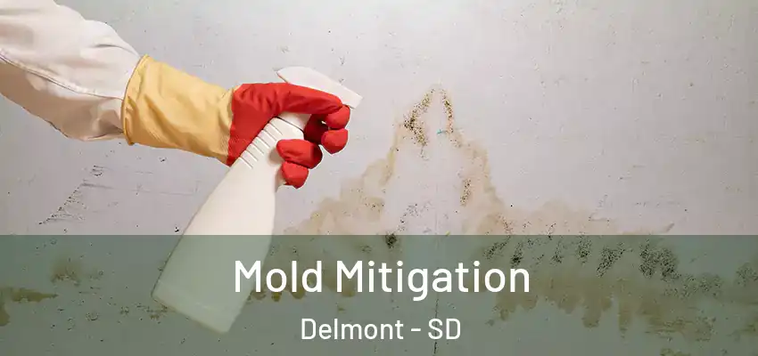 Mold Mitigation Delmont - SD