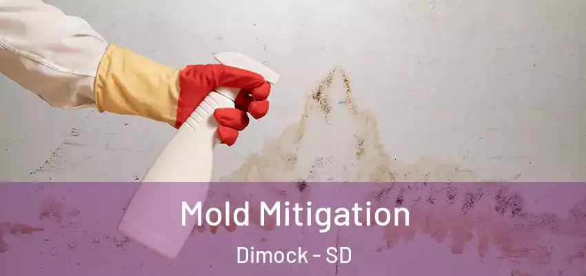 Mold Mitigation Dimock - SD