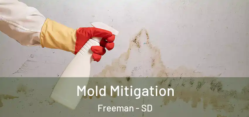 Mold Mitigation Freeman - SD