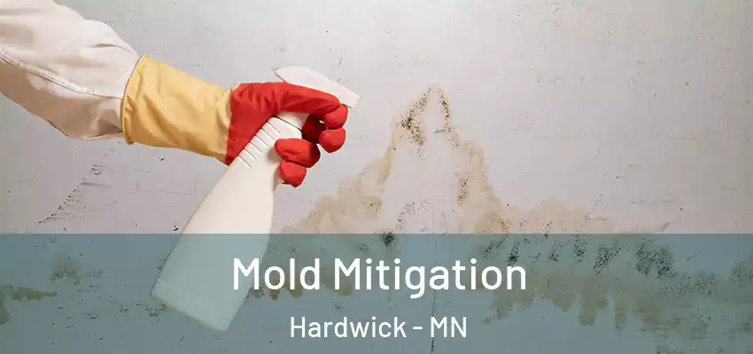  Mold Mitigation Hardwick - MN