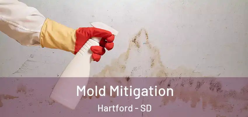 Mold Mitigation Hartford - SD