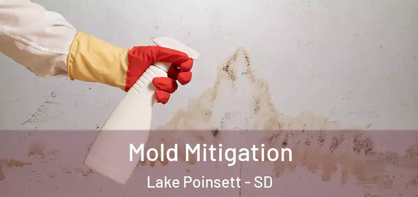  Mold Mitigation Lake Poinsett - SD