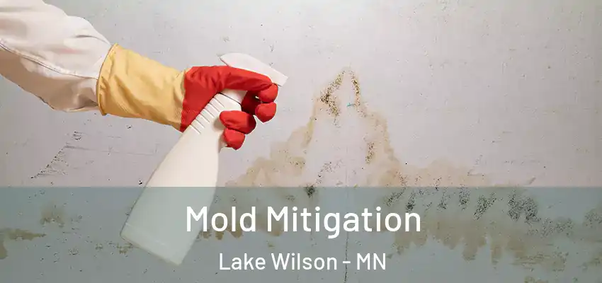  Mold Mitigation Lake Wilson - MN