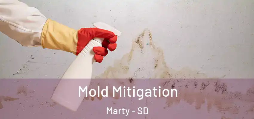 Mold Mitigation Marty - SD