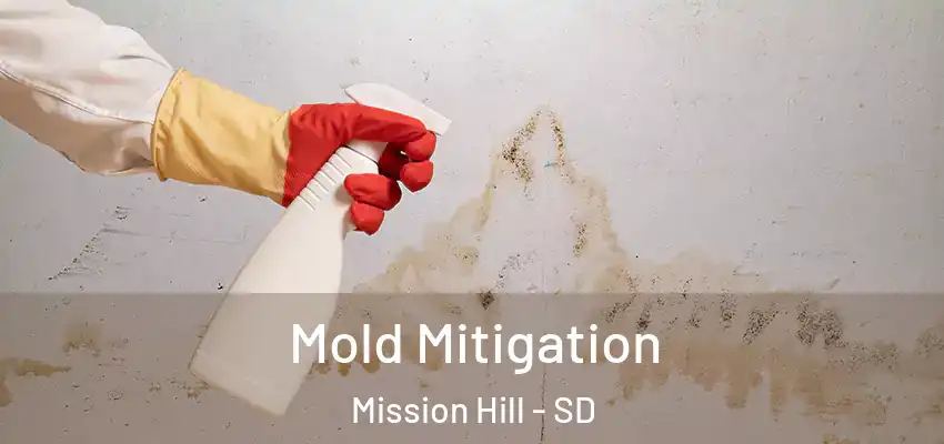 Mold Mitigation Mission Hill - SD