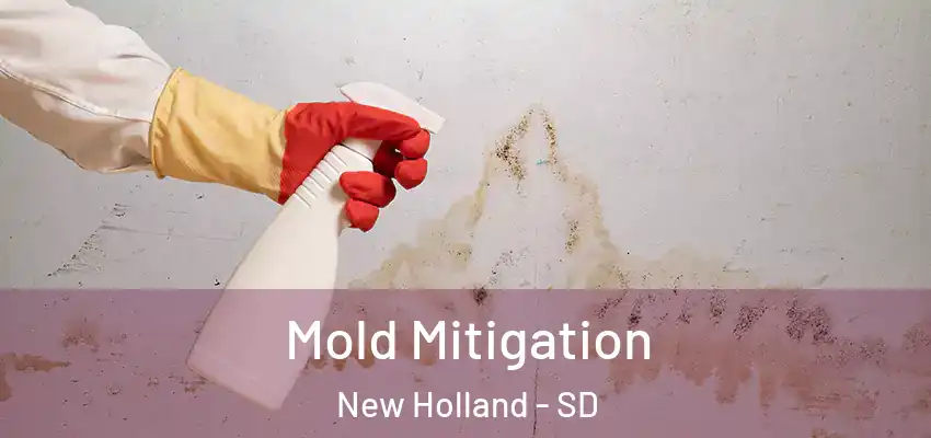  Mold Mitigation New Holland - SD