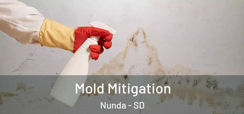  Mold Mitigation Nunda - SD