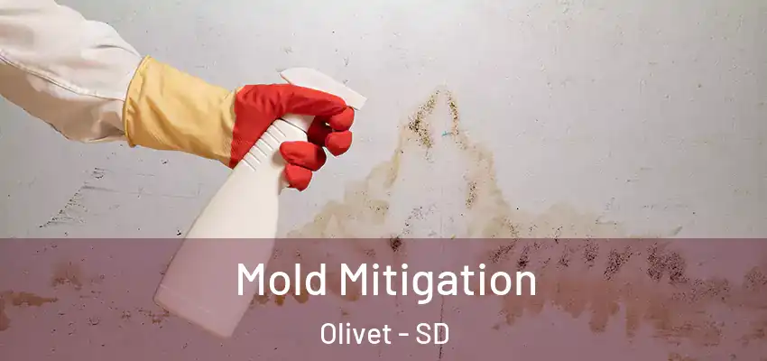 Mold Mitigation Olivet - SD