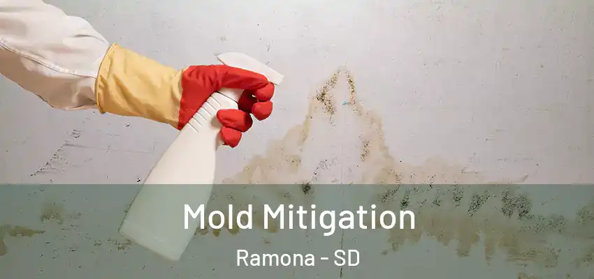 Mold Mitigation Ramona - SD