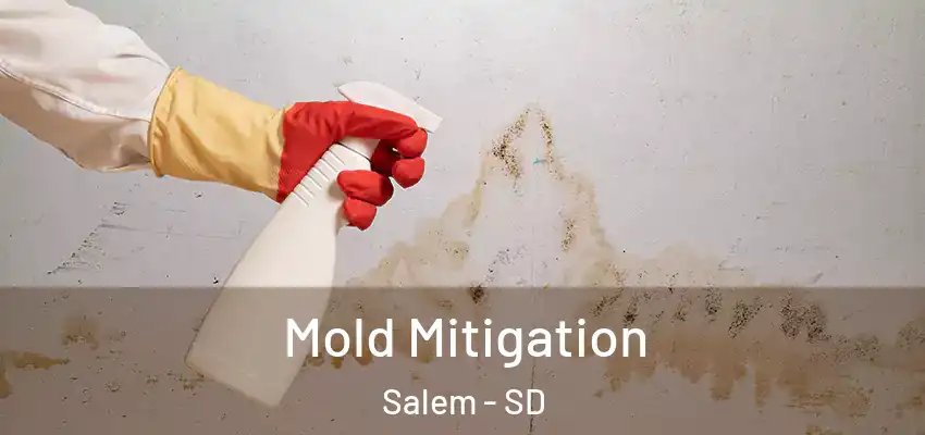 Mold Mitigation Salem - SD