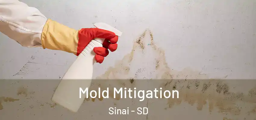  Mold Mitigation Sinai - SD