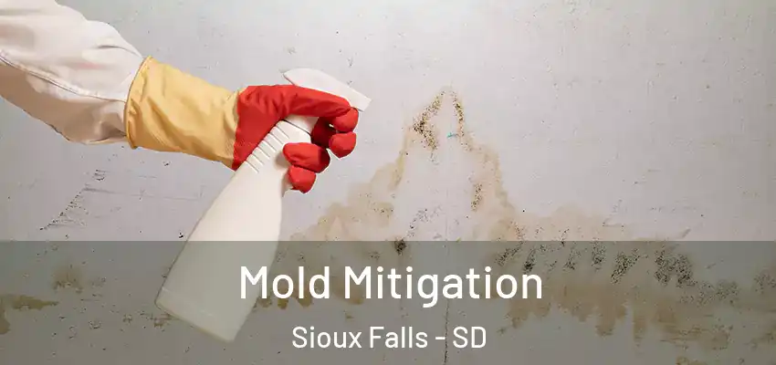  Mold Mitigation Sioux Falls - SD