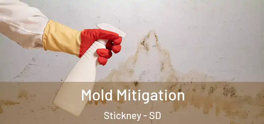  Mold Mitigation Stickney - SD