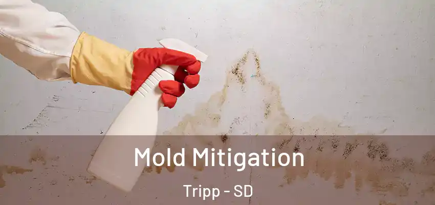 Mold Mitigation Tripp - SD