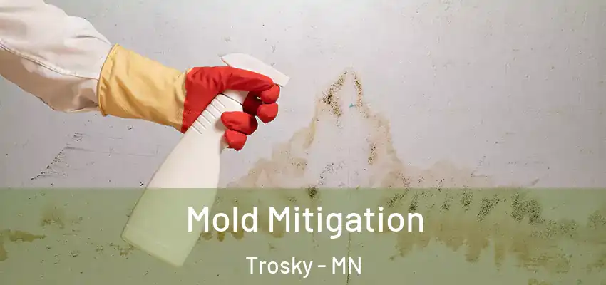 Mold Mitigation Trosky - MN