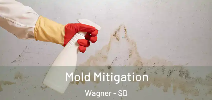 Mold Mitigation Wagner - SD