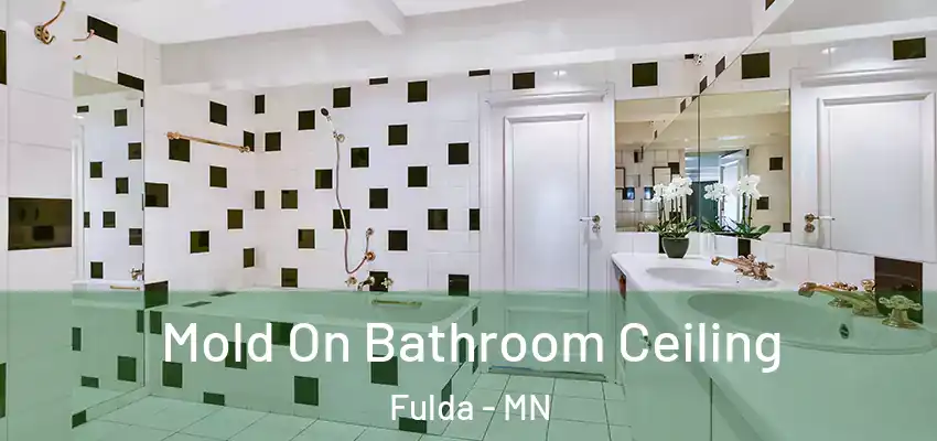 Mold On Bathroom Ceiling Fulda - MN
