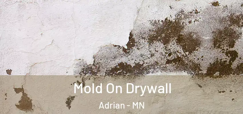 Mold On Drywall Adrian - MN