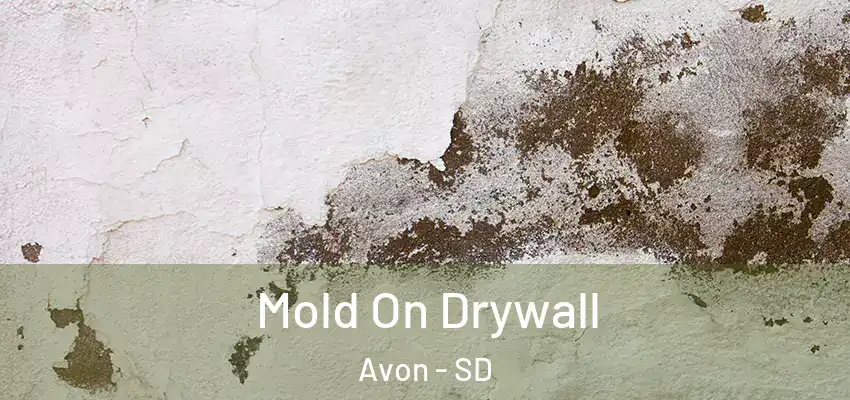  Mold On Drywall Avon - SD
