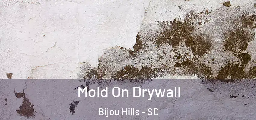  Mold On Drywall Bijou Hills - SD