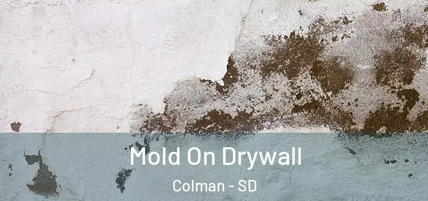 Mold On Drywall Colman - SD
