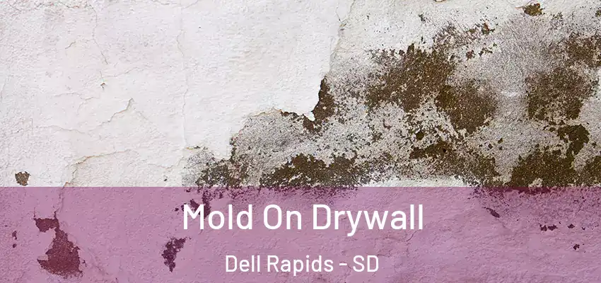  Mold On Drywall Dell Rapids - SD