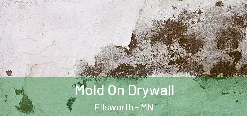  Mold On Drywall Ellsworth - MN