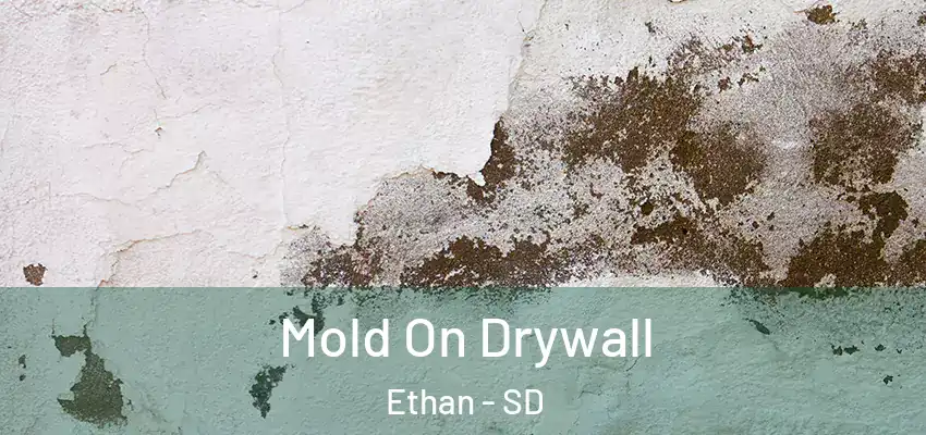  Mold On Drywall Ethan - SD