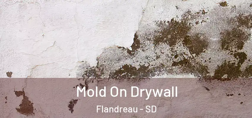  Mold On Drywall Flandreau - SD