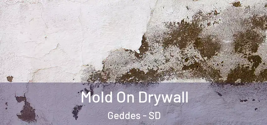  Mold On Drywall Geddes - SD