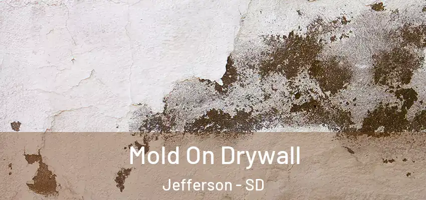  Mold On Drywall Jefferson - SD
