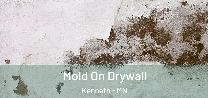 Mold On Drywall Kenneth - MN