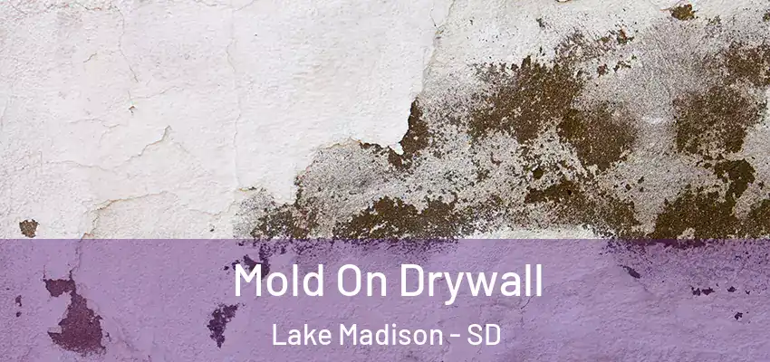  Mold On Drywall Lake Madison - SD