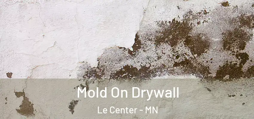  Mold On Drywall Le Center - MN