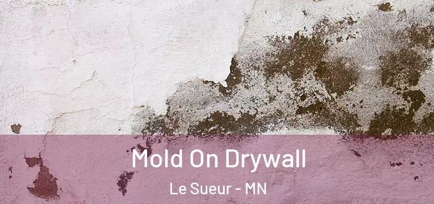  Mold On Drywall Le Sueur - MN