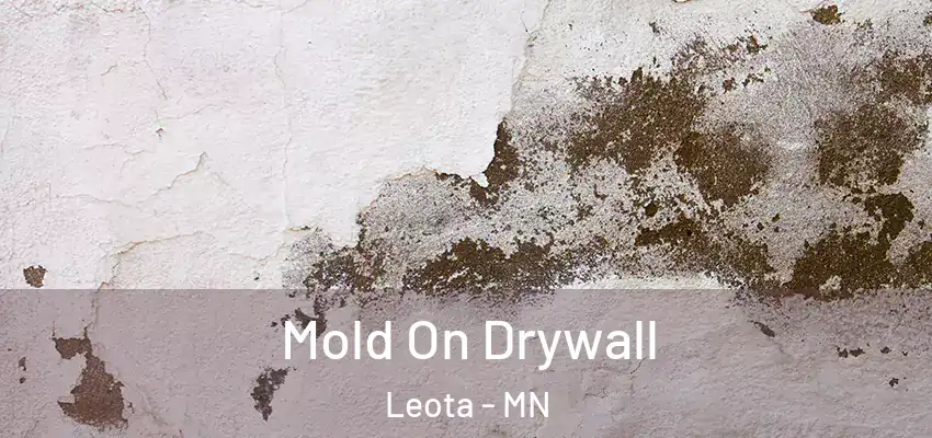  Mold On Drywall Leota - MN