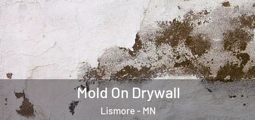  Mold On Drywall Lismore - MN