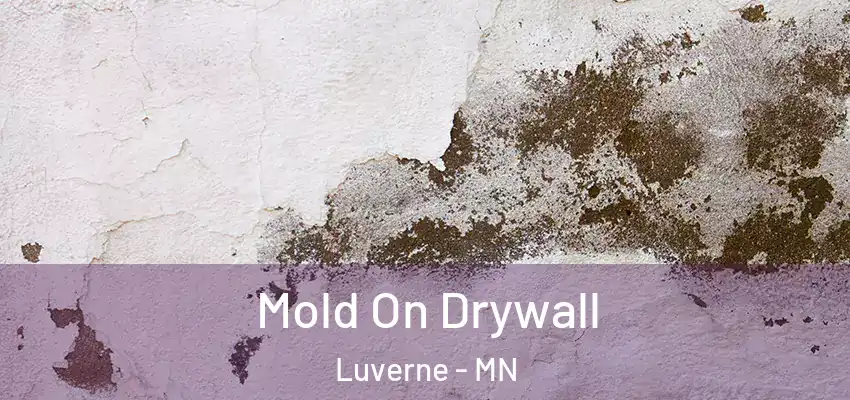  Mold On Drywall Luverne - MN
