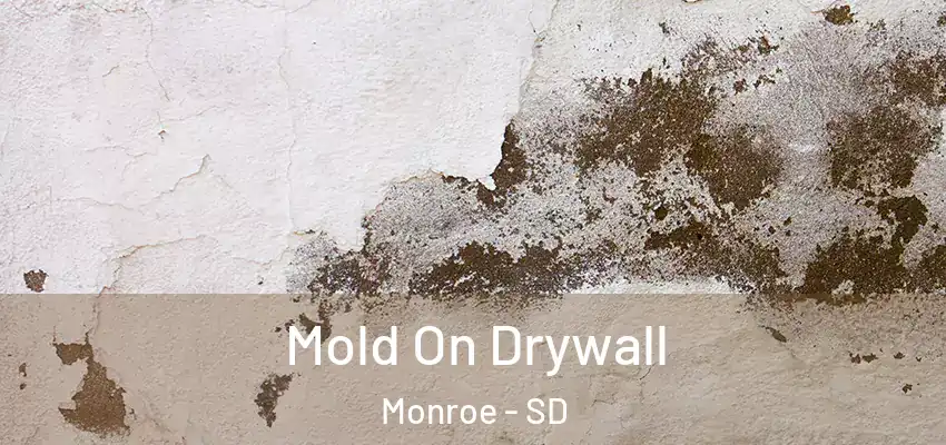 Mold On Drywall Monroe - SD