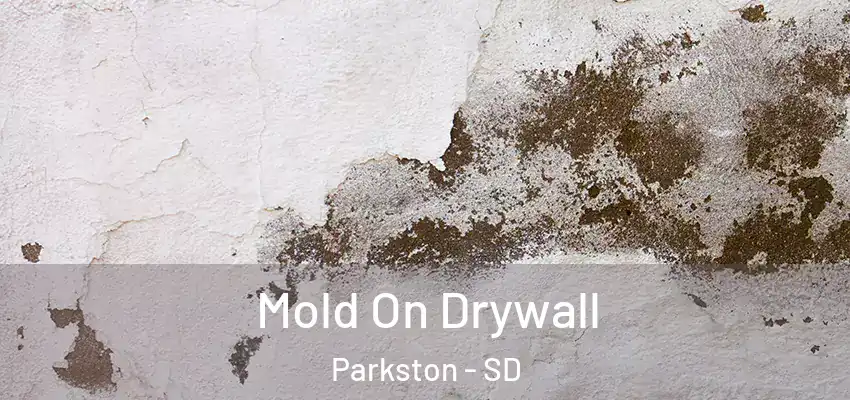  Mold On Drywall Parkston - SD