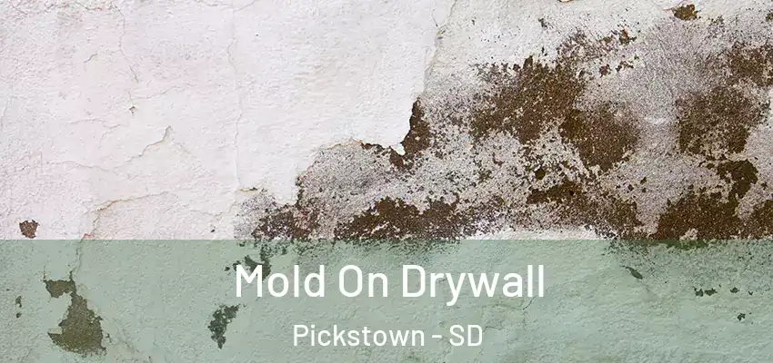  Mold On Drywall Pickstown - SD
