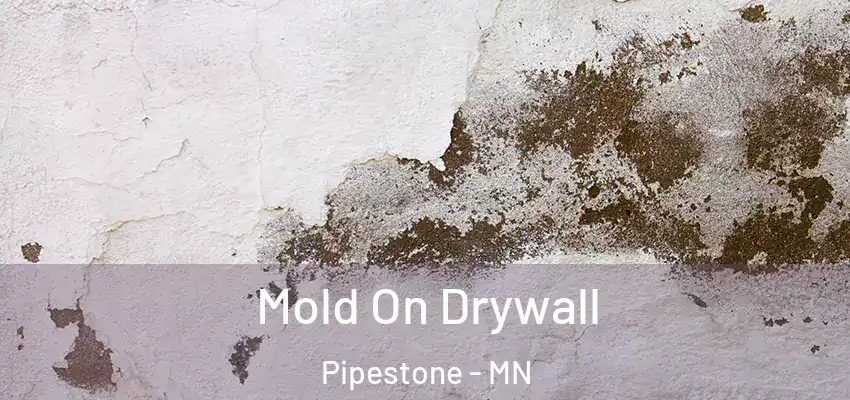  Mold On Drywall Pipestone - MN