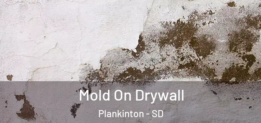  Mold On Drywall Plankinton - SD