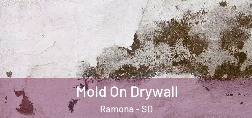  Mold On Drywall Ramona - SD
